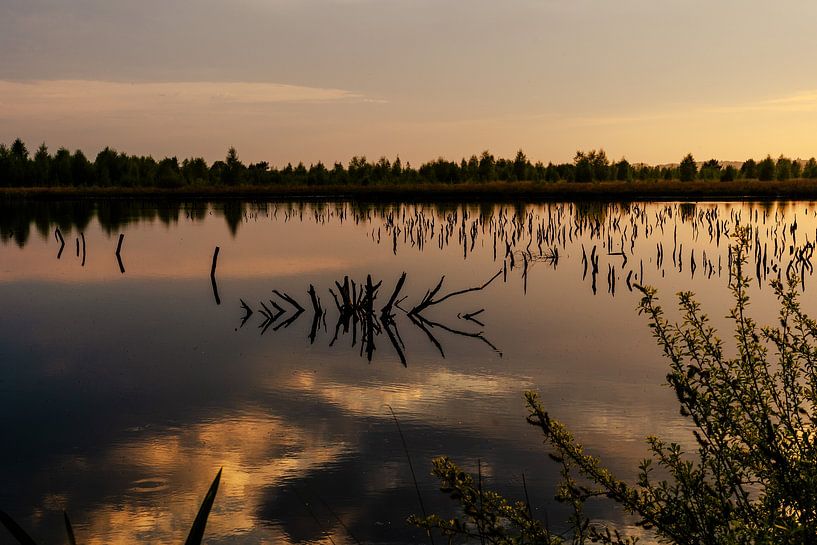 Abendstimmung im Moor von Sonja Tessen
