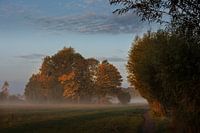 Foggy morning Opwierde Appingedam 5