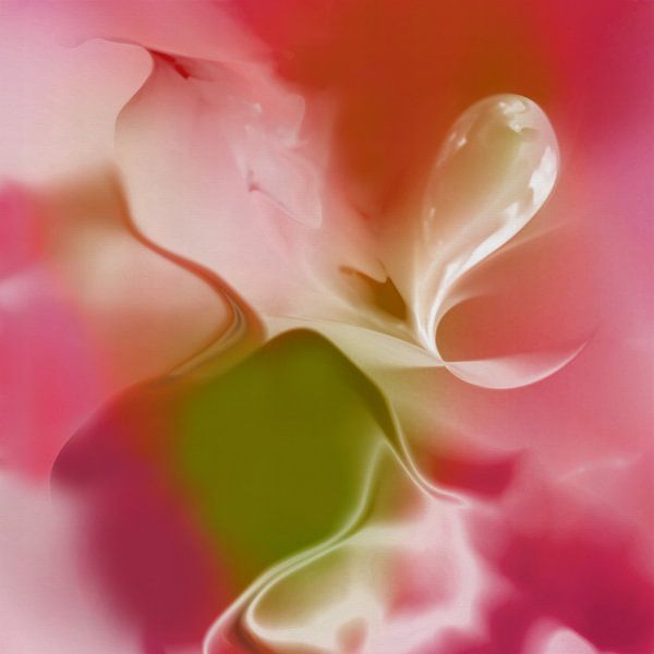 Doux et tendre par Andreas Wemmje