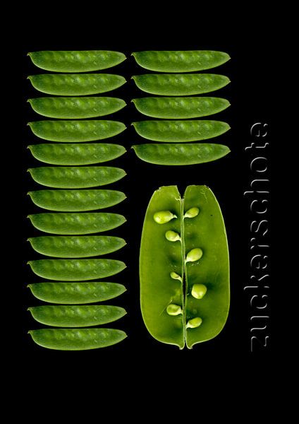 foodART - Sugar pea by Erich Krätschmer