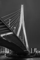 Erasmusbrug Rotterdam nacht - Zwart-Wit