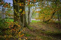 Herbstfarben des Schwarzwassers