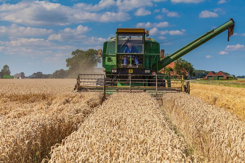 Wheat harvest by Ron Buist