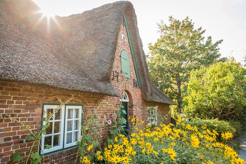 Ferme historique avec jardin de ferme à Keitum, Sylt par Christian Müringer