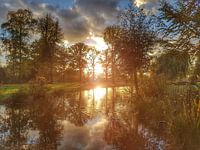 Zonsondergang in het park