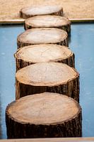 Chemin de l'étang à la Floriade