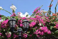 Eine Straßenlaterne in der Stadt