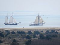 Bruine vloot Terschelling