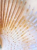 Detailaufnahme eines Röhrenwurms