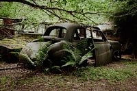 Autofriedhof Bastnäs Schweden, Autowrack