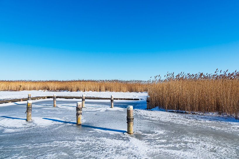 Bodden près d'Ahrenshoop sur le Fischland-Darß en hiver par Rico Ködder