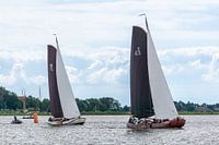 Skûtsje sailing Friesland