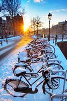 Vélo d'hiver à Amsterdam