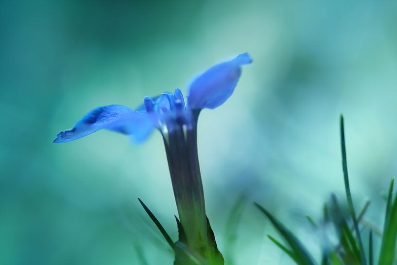 . von LHJB Photography