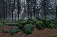 Germany - Black Forest - Günterfelsen