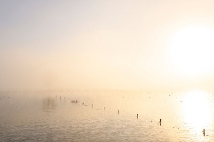 Vom Fluss IJssel aufsteigender Nebel an einem kalten Wintermorgen von Sjoerd van der Wal Fotografie