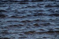 Se perdre dans la mer