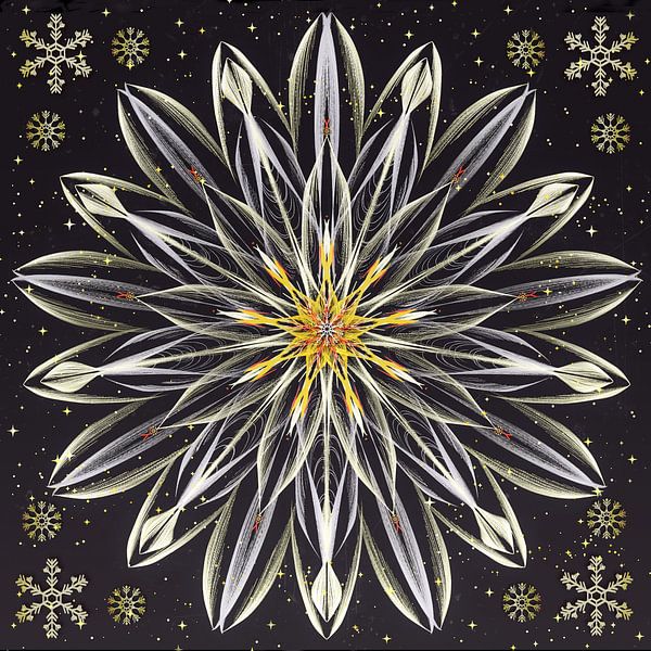 Mandala - Eisblume von Christine Nöhmeier