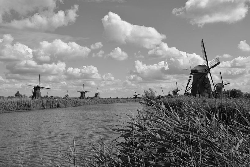 Moulins près de Kinderdijk (Noir et Blanc) par FotoGraaGHanneke
