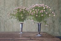 Still life with two vintage silver Alessi vases