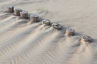 Mastenreihe am Strand