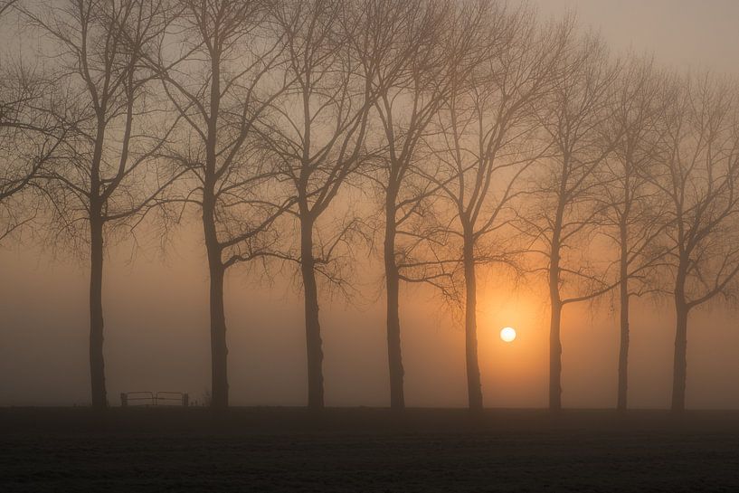 Lever de soleil brumeux par Moetwil en van Dijk - Fotografie
