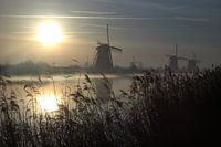 Kinderdeich bei Sonnenaufgang