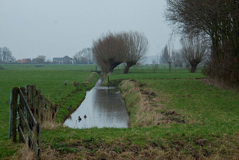 Alkeetse polder 03 von Hans Blommestijn