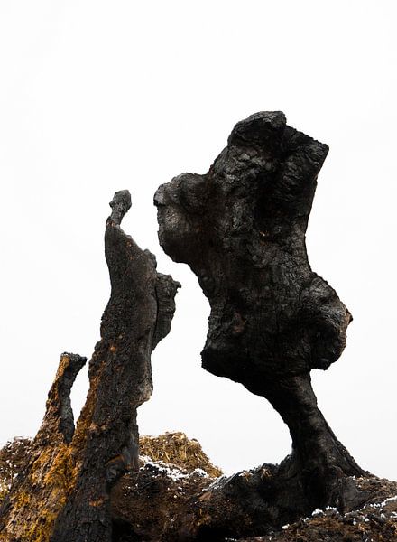 Natürliche Formen von Erna Kampman