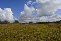 landschap met wolken en duinen