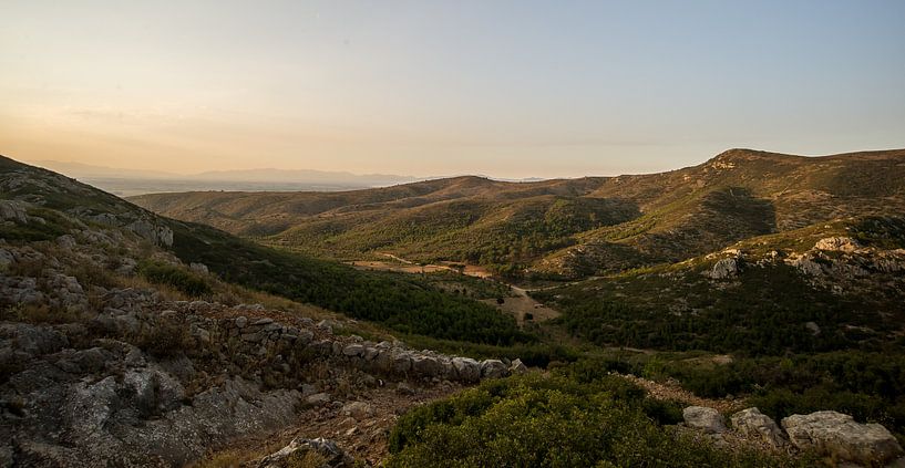Groen dal van Bassie's winkel