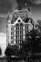 Weißes Haus in Rotterdam