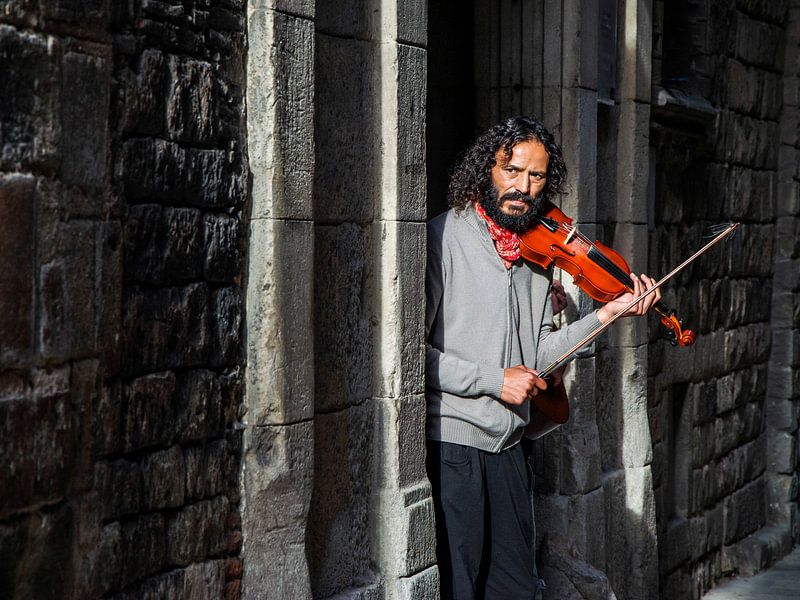 Der vorsichtige Geiger von Emil Golshani