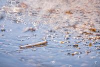 Muscheln mit viel kreisförmigem Bokeh