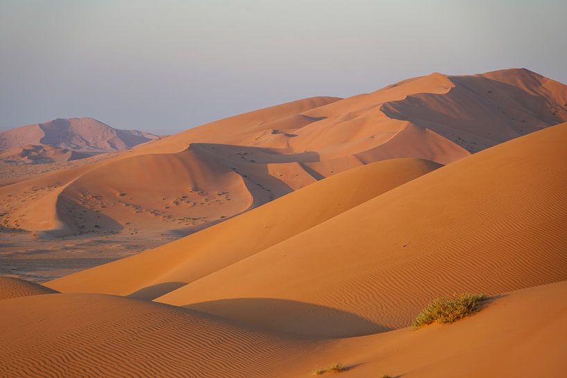 Sand dunes in the Empty Quarter by The Book of Wandering