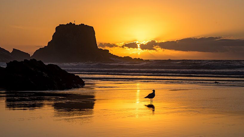 Plage du coucher de soleil à Zambujeira do Mar, Portugal par Jessica Lokker