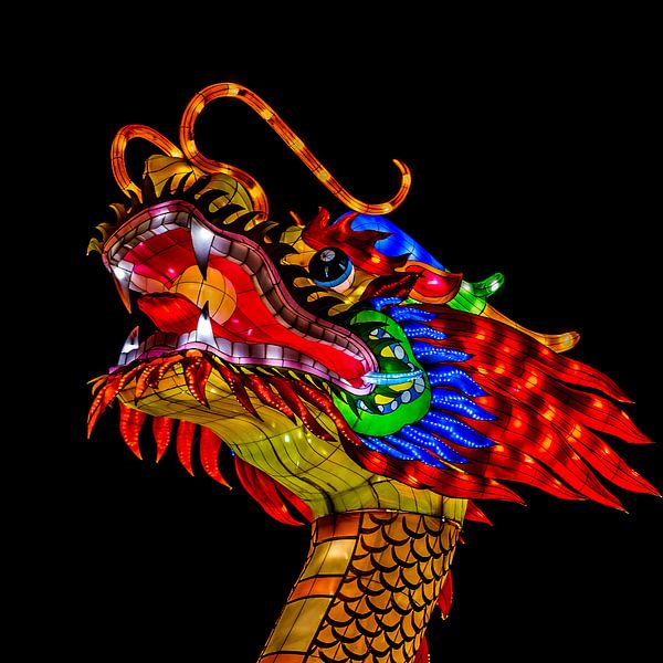 Dragons Head by Jochem van der Blom