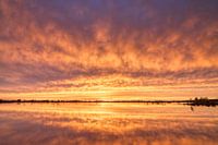 Nieuwe Driemanspolder