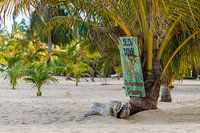 Signe de Chihuahua sur la plage de Belize