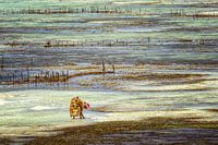 50 Schattierungen von Grün