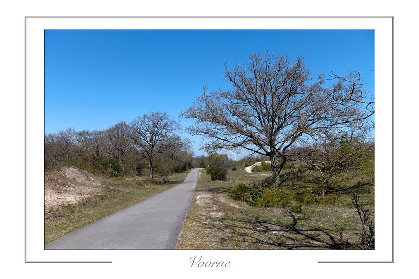 Voornes Dune by Richard Wareham