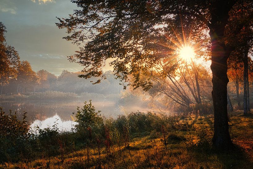 Dernier brouillard dans l'Oosterhout à Alkmaar par peterheinspictures