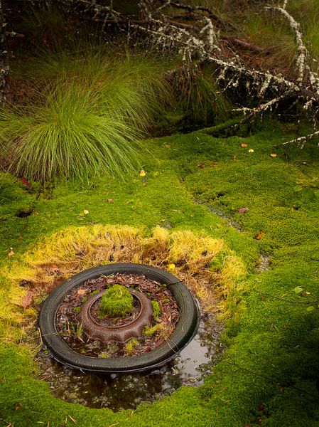 Car tire in the moss by Lein Kaland