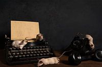 Stilleven van zes siamese muizen op een typmachine en telefoon