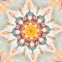 Mandala nice dreams