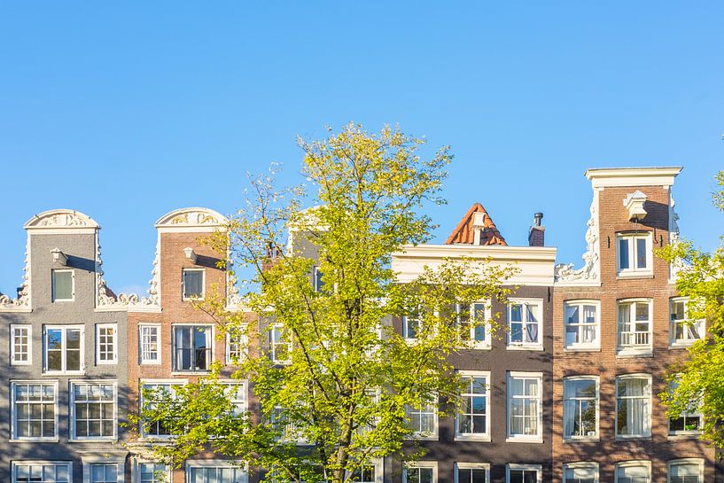 Amsterdam traditional old building facades at the canals by Sjoerd van der Wal Photography