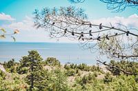 View of Vlieland and the Wadden Sea