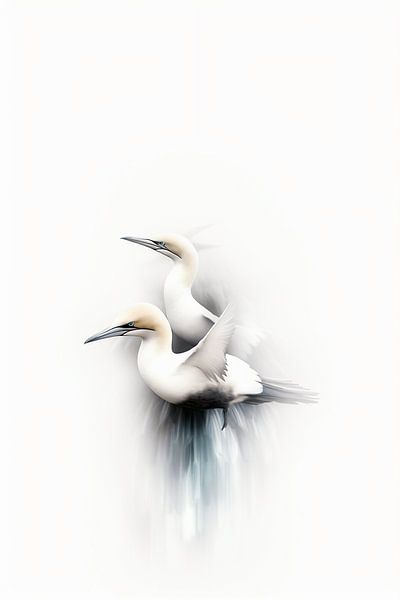 Elegance of the gannet by Karina Brouwer