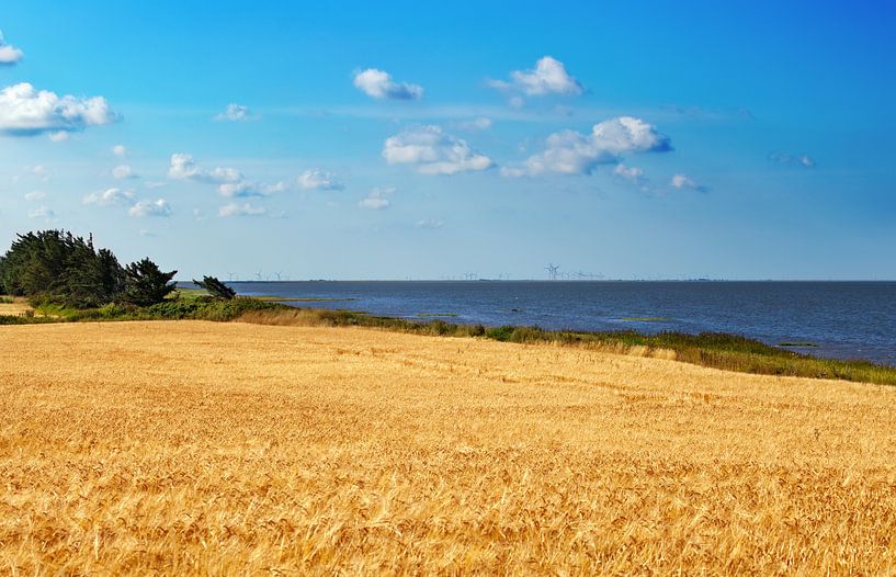 Wadden Sea by Bo Valentino