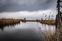 Les côtes levées météo